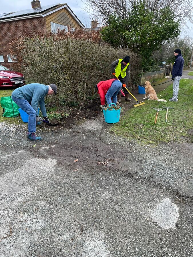 St Francis Verge Clearing  130225